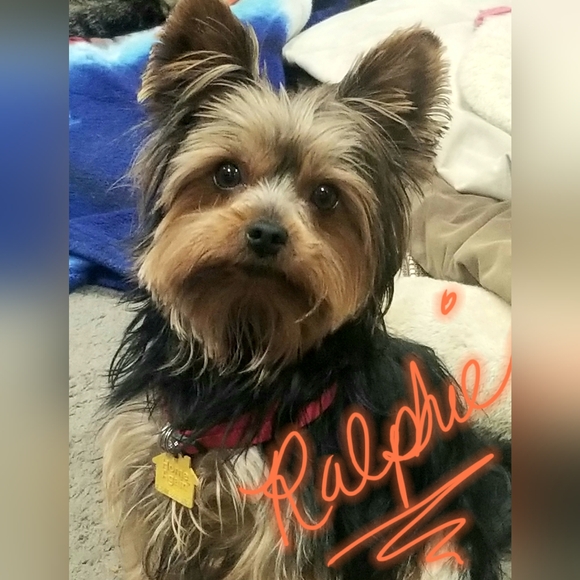 Cleo - Picture 8 of 8